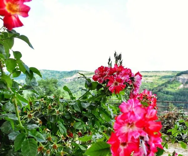 Ross Holiday home Veliko Tarnovo